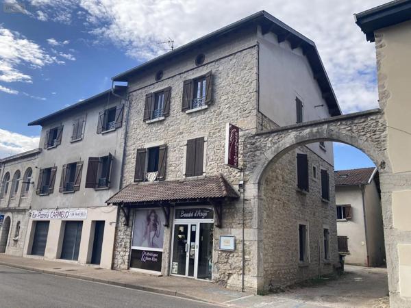 Achat - Immeuble Saint-Denis-en-Bugey 01500 490 m 2