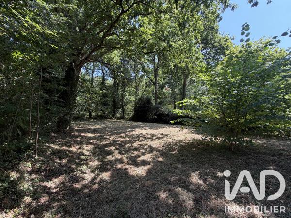 Terrain à vendre 564 m² Moëlan-sur-Mer