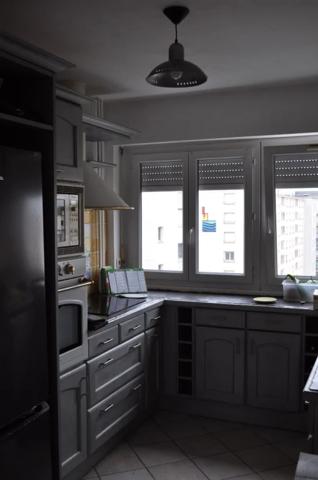 APPARTEMENT T4 A LOUER - LYON 7EME ARRONDISSEMENT Le Fleuve 88.73 m 2 1 554 € charges comprises par mois
