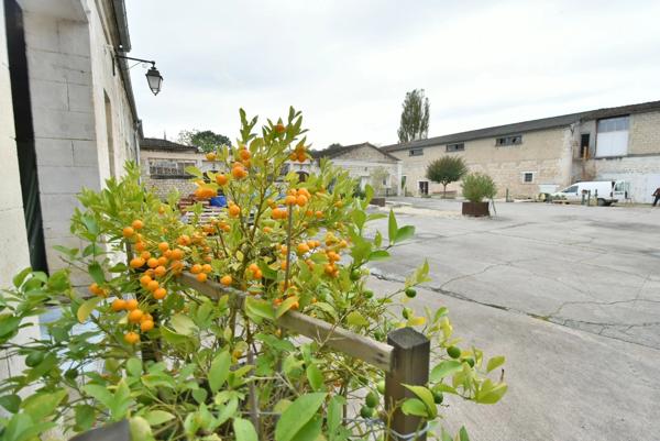 Dpt Charente (16), à vendre PROCHE ANGOULEME OUEST Box ou immeuble à rénover de 2500 m2