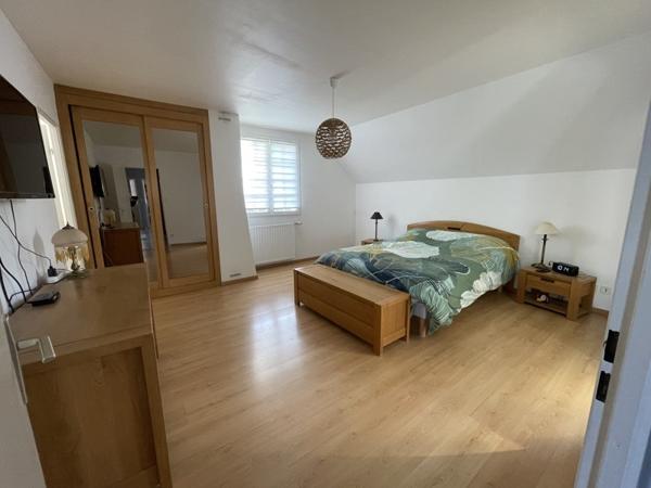 Maison à vendre 484 000 € Saint-Jean-le-Blanc 7 p 230 m² DPE B