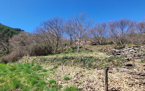 Maison à vendre    3 pièces • 92 m2 Dompnac