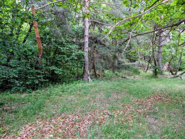 Vente / Terrain à Belsentes (07160)