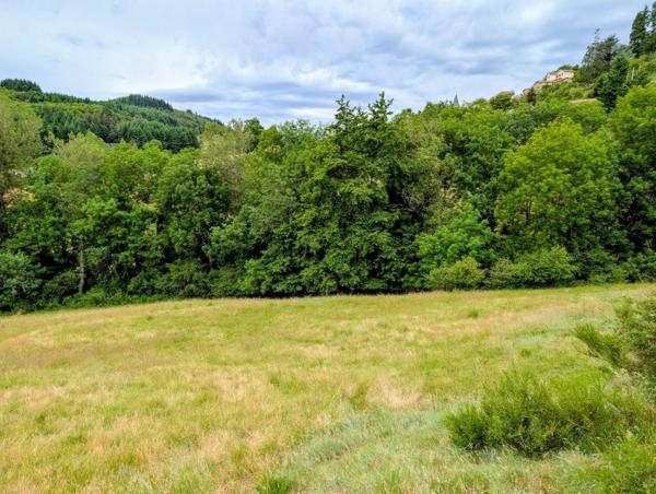 Vente / Terrain à Belsentes (07160)