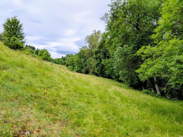 Vente / Terrain à Belsentes (07160)