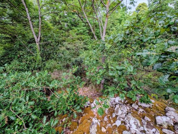 Vente / Terrain à Belsentes (07160)