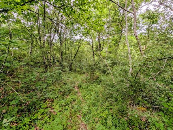 Vente / Terrain à Belsentes (07160)
