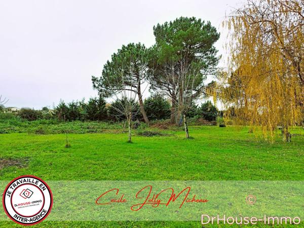 Terrain à vendre de 3 000 m²