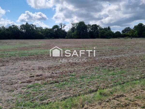 Grand terrain à bâtir - Axe Matha Cognac