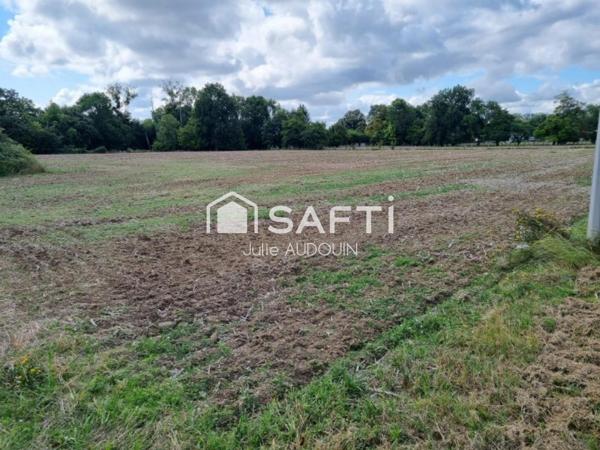 Grand terrain à bâtir - Axe Matha Cognac