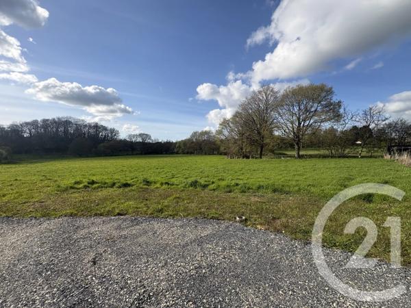 Terrain à vendre  10932 m 2   LE BOURGNEUF LA FORET  - 53