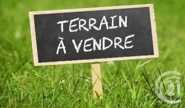 Terrain à vendre  10932 m 2   LE BOURGNEUF LA FORET  - 53
