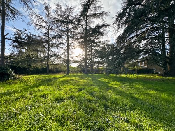 Saint-Bernard (01600) Terrain à bâtir 700 m² – Emplacement recherché à Saint-Bernard, calme et proche gare