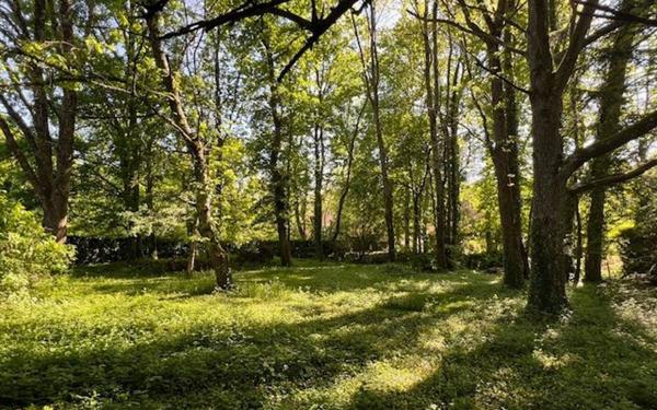 Maison à vendre    5 pièces •  Saint-Aignan