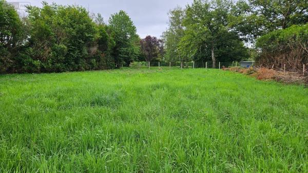 Terrain à Batir à vendre à Guécélard dans la Sarthe (72230), ref : 72119-1649