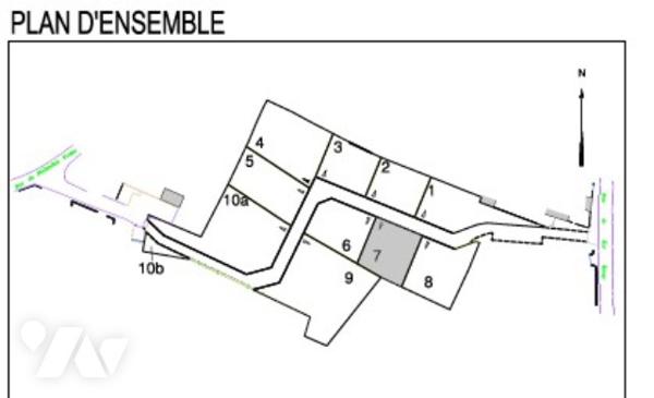 Terrain