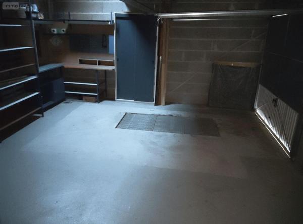 Autres types de maison à louer à Saint-Erblon en Ille-et-Vilaine (35230), ref : 35129-6485