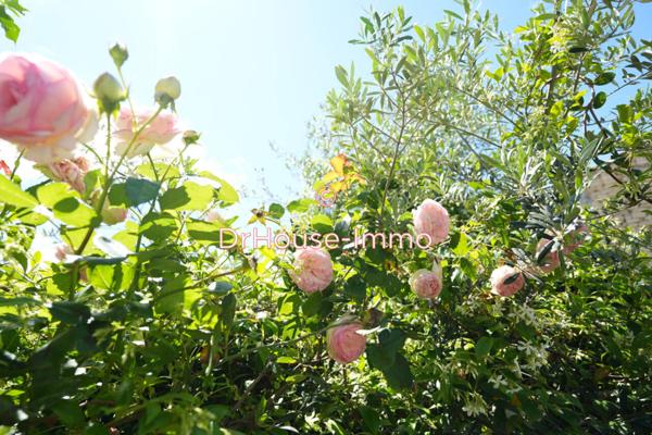 Maison à vendre 10 pièces de 300 m²