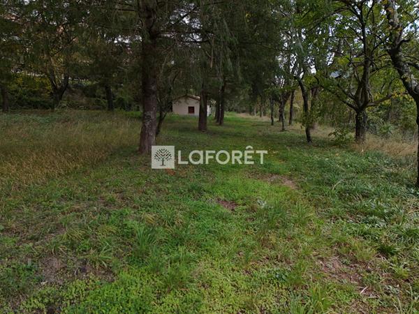 Achat terrain Prats-de-Mollo-la-Preste - 21568 m² - 735 000 €