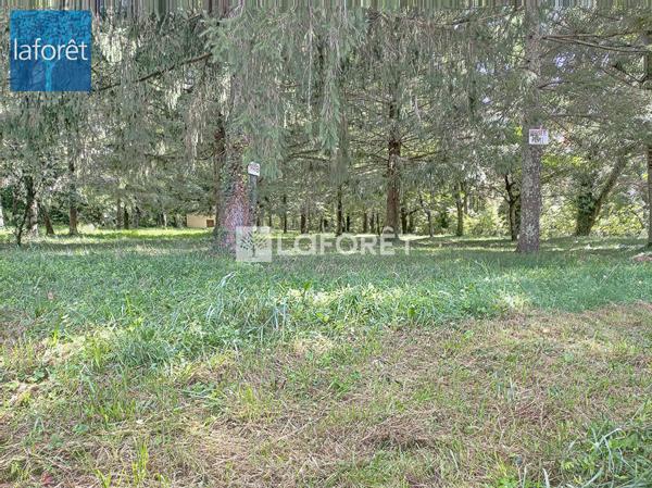 Achat terrain Prats-de-Mollo-la-Preste - 21568 m² - 735 000 €