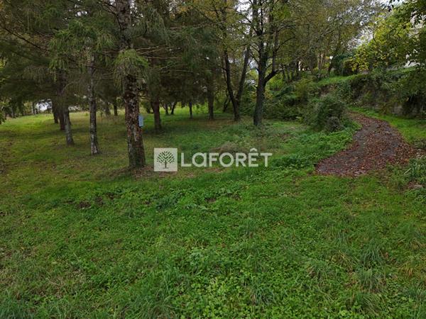 Achat terrain Prats-de-Mollo-la-Preste - 21568 m² - 735 000 €