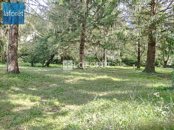 Achat terrain Prats-de-Mollo-la-Preste - 21568 m² - 735 000 €