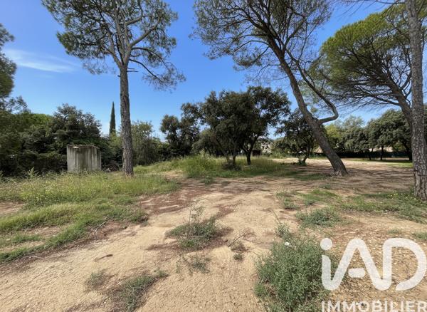 Terrain à vendre 730 m² Tavel