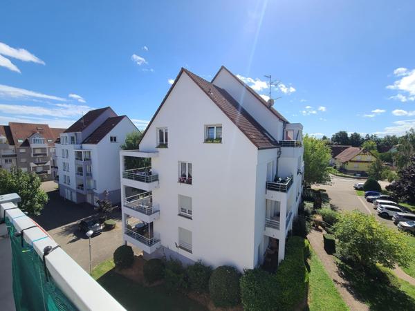 Spacieux F1 à proximité du centre d'Obernai