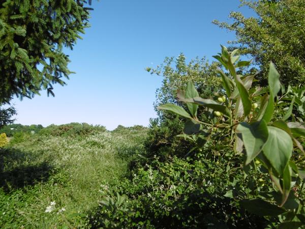 Terrain à vendre à Gorron (53120) - Mayenne