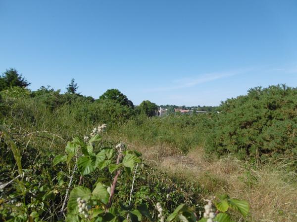 Terrain à vendre à Gorron (53120) - Mayenne