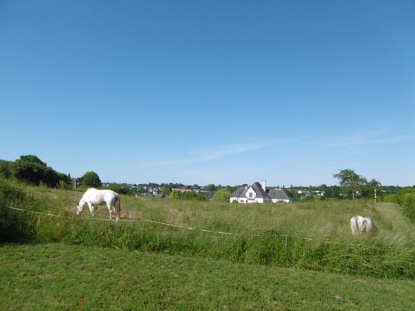 Terrain à vendre à Gorron (53120) - Mayenne