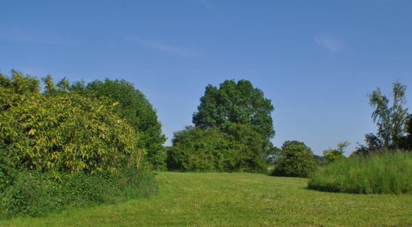 Maison à vendre à Noyant-Villages (49490) - Maine-et-Loire