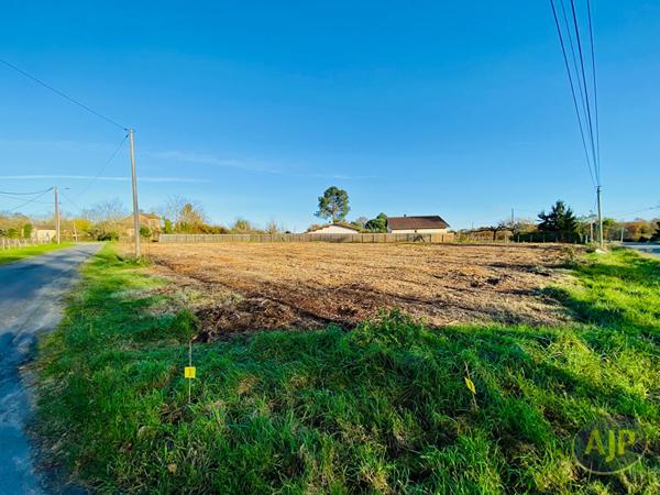 Vente terrain Saint Germain D Esainteuil : 60 000 € - AJP Lesparre Immobilier