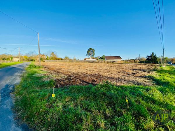 Vente terrain Saint Germain D Esainteuil : 60 000 € - AJP Lesparre Immobilier