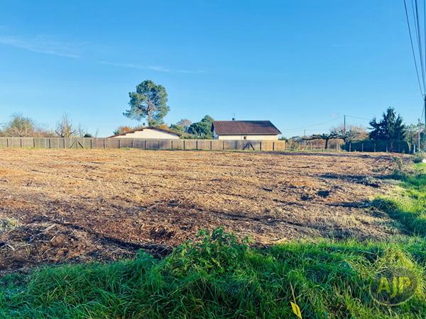 Vente terrain Saint Germain D Esainteuil : 60 000 € - AJP Lesparre Immobilier