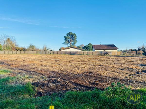 Vente terrain Saint Germain D Esainteuil : 60 000 € - AJP Lesparre Immobilier