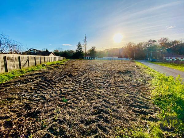 Vente terrain Saint Germain D Esainteuil : 60 000 € - AJP Lesparre Immobilier