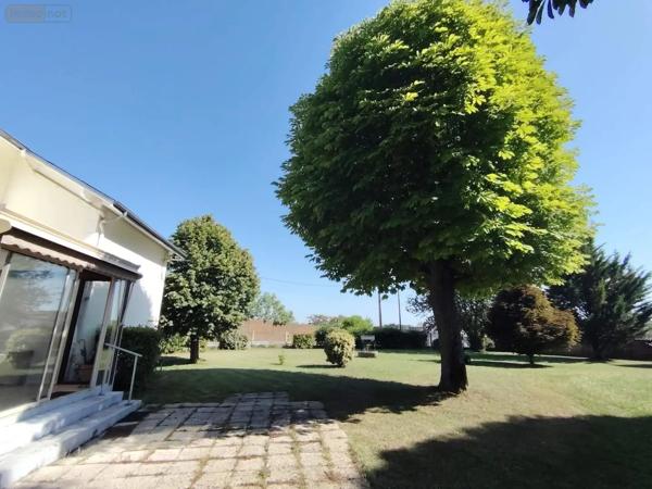 Achat - Maison Chasseneuil-du-Poitou 86360 4 pièces 91 m 2 1707 m 2