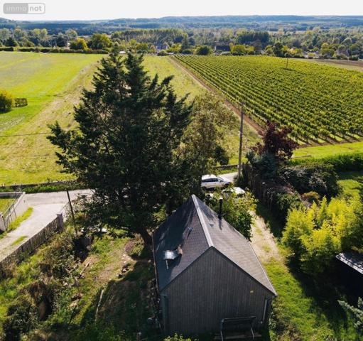 Maison à vendre à Chinon dans l'Indre-et-Loire (37500), ref : 37049-80
