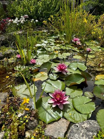 Villa à vendre à Fouras en Charente-Maritime (17450), ref : DD/JOM/26-03