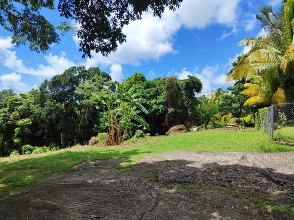 Magnifique terrain à vendre dans la périphérie du Vauclin