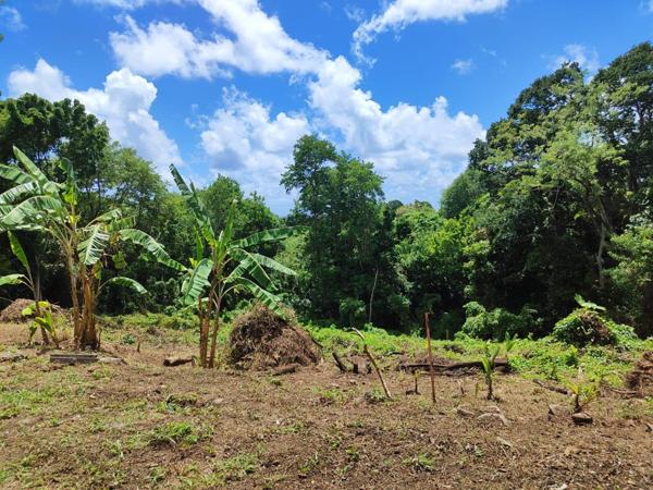 Magnifique terrain à vendre dans la périphérie du Vauclin