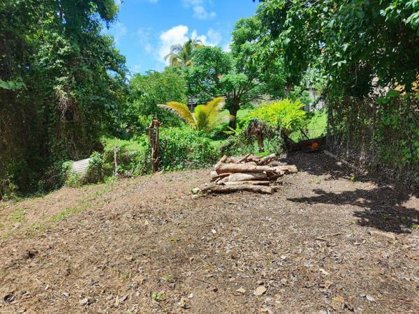 Magnifique terrain à vendre dans la périphérie du Vauclin