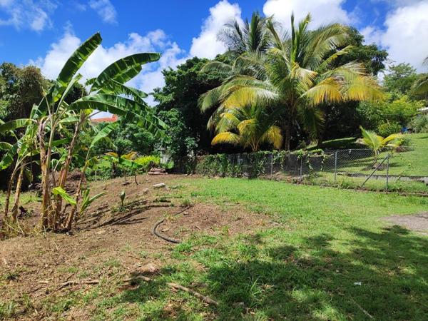 Magnifique terrain à vendre dans la périphérie du Vauclin