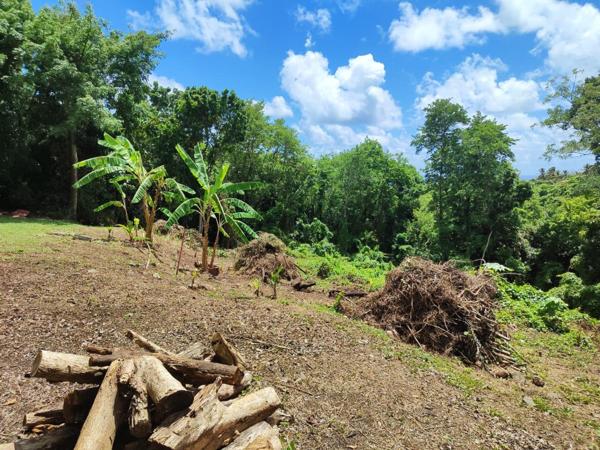 Magnifique terrain à vendre dans la périphérie du Vauclin