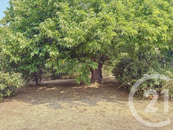 Maison à vendre  6 pièces - 147,20 m2 LECCI - 201