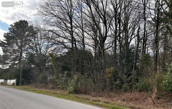 Achat - Terrain à bâtir Guer 56380 2740 m 2