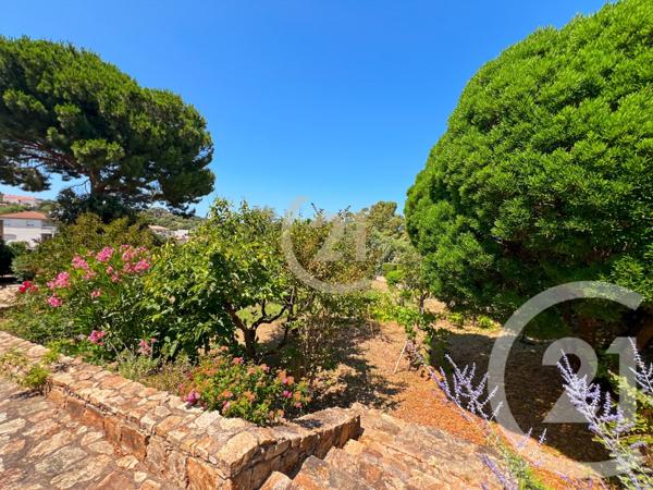 Maison à vendre  5 pièces - 142,84 m2 CALVI - 202