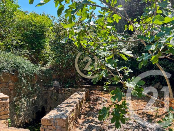 Maison à vendre  5 pièces - 142,84 m2 CALVI - 202