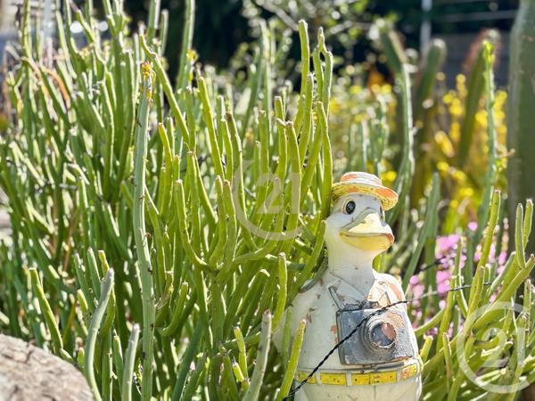 à vendre  90 m2 LUMIO - 202